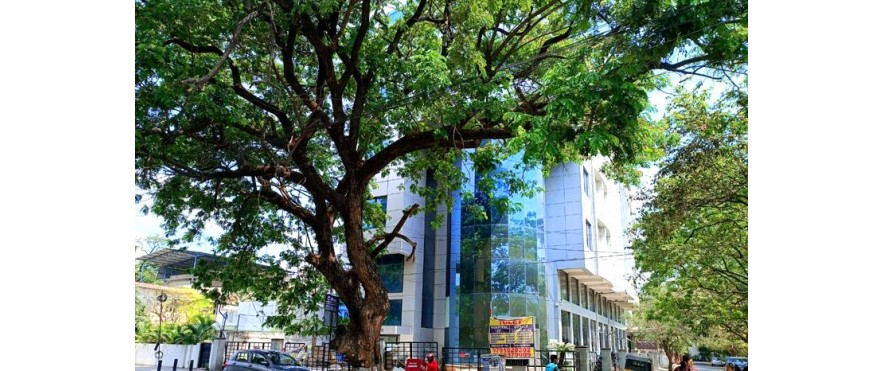 Trend Works - Karuna Conclave